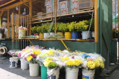 Distribuidora Flores